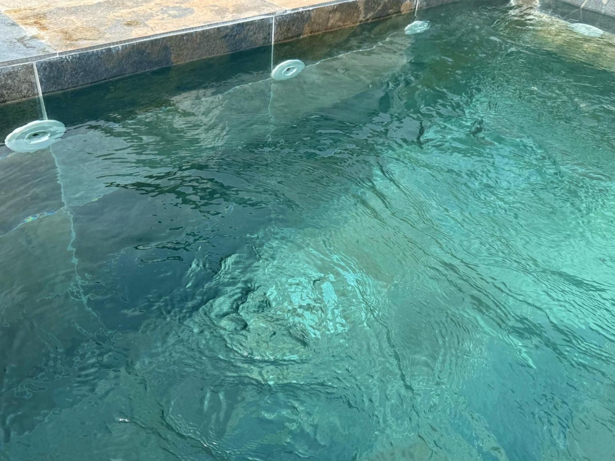 Central Villa With Pool Garden 5Km Sea Cabo Tétouan Exteriör bild